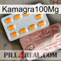 Kamagra100Mg new13